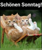 IMG_2024.jpeg