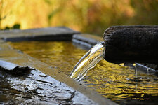 DSC_8867.jpg