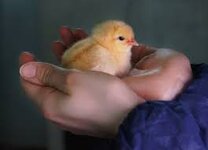 1693901463984.jpeg 1693901463984.jpeg