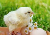 1693986154043.jpeg 1693986154043.jpeg