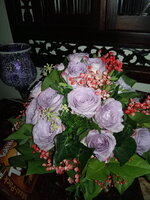 IMG_20230911_135841_4.jpg