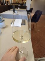 IMG_20230918_183308.jpg