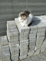IMG_20230922_095328.jpg