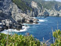 20200917_133115.jpg 20200917_133115.jpg