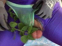 vlcsnap-2023-09-27-22h46m40s285 aus.jpg