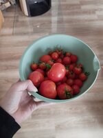 IMG_20230929_091753.jpg
