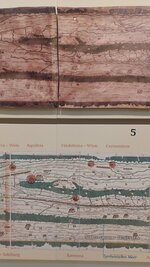 20231007_180736.jpg