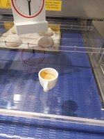 IMG_20231025_073914.jpg