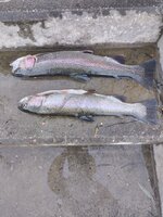 IMG_20231025_163022.jpg
