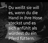 FB_IMG_1698319133147.jpg