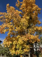 IMG_5944.jpeg