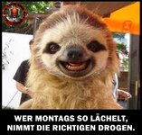 7a34614f-3da6-4e3a-a18f-fc3f1ab86d0f.jpeg