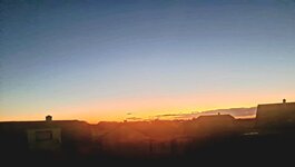 20231106_060329.jpg