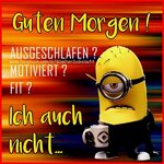 FB_IMG_1687712290572.jpg