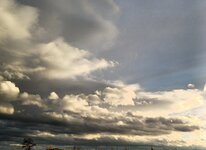 20231111 (8).jpg