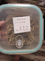 20231124_094455.jpg 20231124_094455.jpg