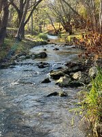 IMG_0543.jpeg
