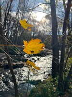 IMG_0544.jpeg