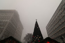 _DSC8359.jpg _DSC8359.jpg