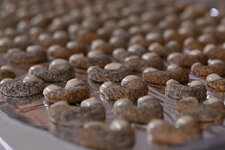 DSC_7753.jpg DSC_7753.jpg