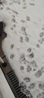 IMG_20231202_095320.jpg