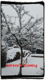 1701509666792.jpg 1701509666792.jpg