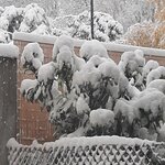 20231202_124341.jpg