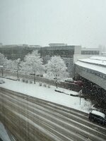 IMG_0560.jpeg