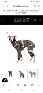 Screenshot_20231202-184206_Samsung Internet.jpg