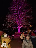 e7e5b0c8-c164-4b84-a1a7-6c0b71295f29.jpeg