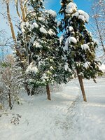 20231203_112503.jpg