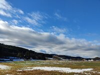 IMG_20231211_111242.jpg