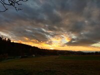 IMG_20231118_160333.jpg