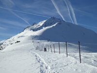 1170222.jpg 1170222.jpg