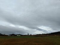 IMG_20231119_102134.jpg
