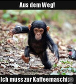 IMG_3428.jpeg