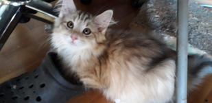 1706207389364.png 1706207389364.png