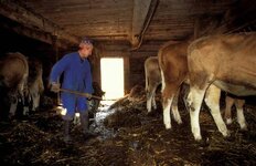 1706892383953.jpeg 1706892383953.jpeg