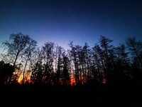IMG_20240205_172903.jpg
