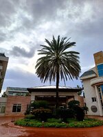 20231231 (39).jpg