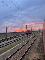IMG_8190.jpeg