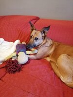 IMG_20240213_162616.jpg
