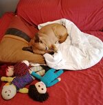 IMG_20240220_224212.jpg