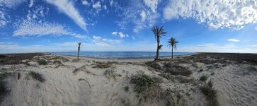 spain 2024 Feb_März 160.jpg