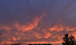 DSC_7139.jpg