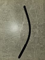 20240224_010216.jpg