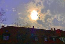 IMG_3454.jpg