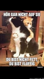 Fluffig_nicht_Fett.jpg