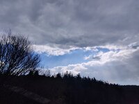 IMG_20240313_125101.jpg