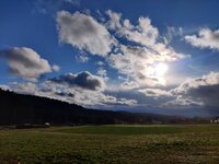 IMG_20240324_163501.jpg